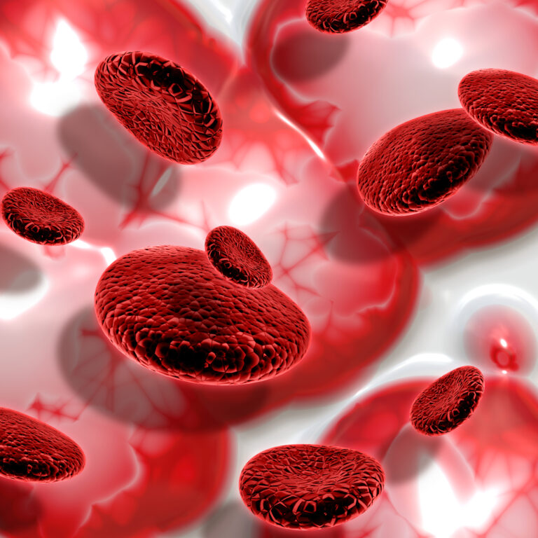 How to increase Hemoglobin – From Fatigue to Energy : Discover the No.1 Strategies