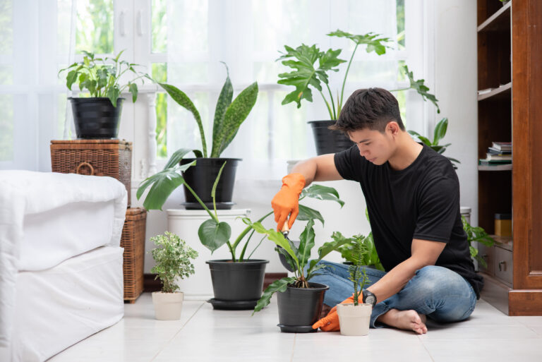 The Ultimate No. 1 Guide to Choosing the Best Fertilizer for Indoor Plants : Greening Up Your Space