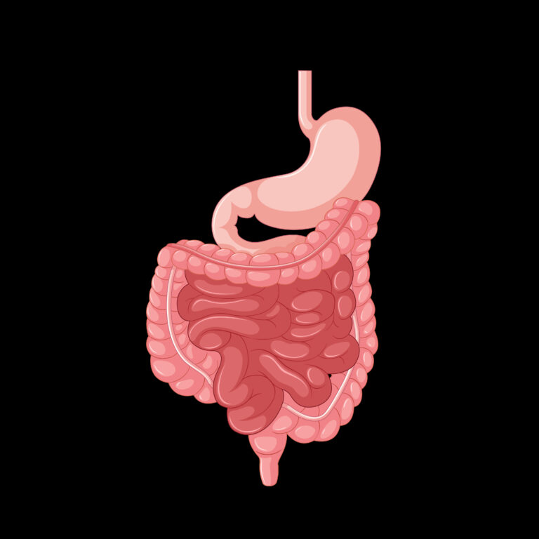 Unveiling No. 1 Effective Viral Gastroenteritis Treatment : Say Goodbye to Tummy Troubles