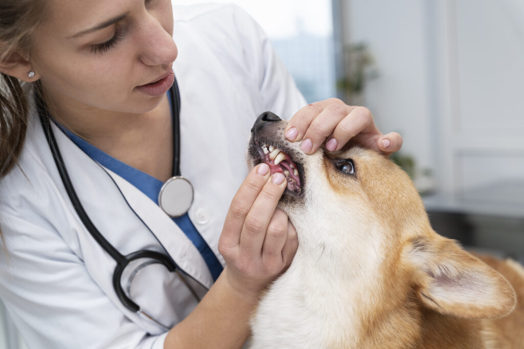 How to Treat Rabies at Home